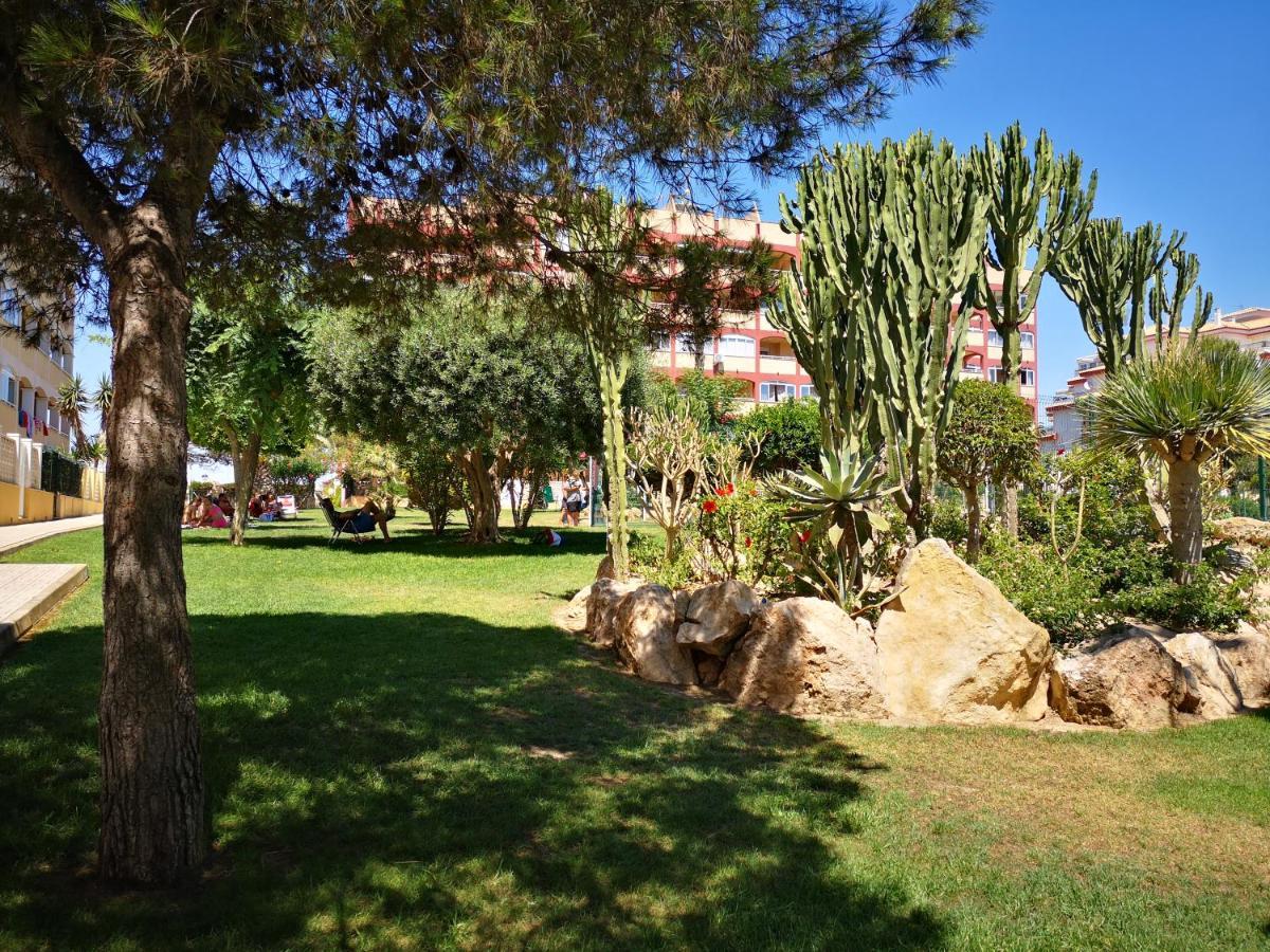 Studio With Terrace And Pool Torrevieja Kültér fotó